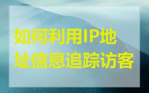 如何利用IP地址信息追踪访客