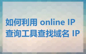 如何利用 online IP 查询工具查找域名 IP