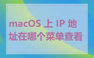 macOS 上 IP 地址在哪个菜单查看