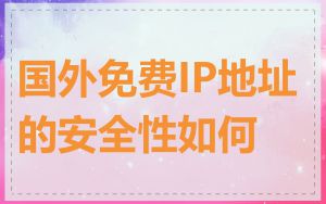 国外免费IP地址的安全性如何
