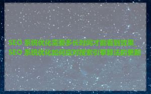 SEO 系统优化需要多长时间才能看到效果_SEO 系统优化如何应对搜索引擎算法的更新