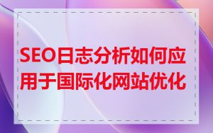 SEO日志分析如何应用于国际化网站优化