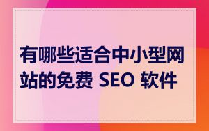 有哪些适合中小型网站的免费 SEO 软件