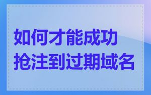 如何才能成功抢注到过期域名