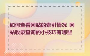如何查看网站的索引情况_网站收录查询的小技巧有哪些