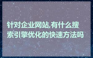 针对企业网站,有什么搜索引擎优化的快速方法吗