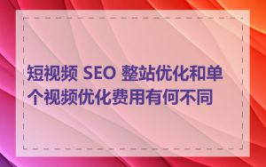 短视频 SEO 整站优化和单个视频优化费用有何不同