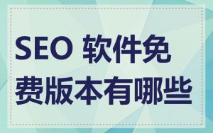 SEO 软件免费版本有哪些