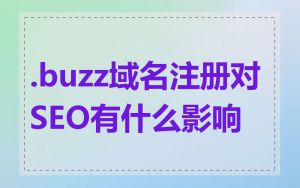 .buzz域名注册对SEO有什么影响