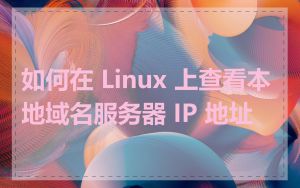 如何在 Linux 上查看本地域名服务器 IP 地址