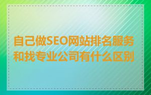 自己做SEO网站排名服务和找专业公司有什么区别
