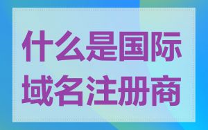 什么是国际域名注册商