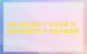 如何分配和管理 IP 地址资源_如何保护网络中的 IP 地址不被滥用