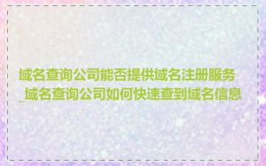 域名查询公司能否提供域名注册服务_域名查询公司如何快速查到域名信息