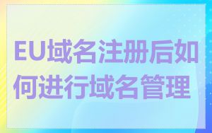 EU域名注册后如何进行域名管理