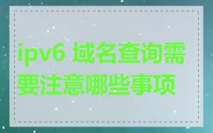 ipv6 域名查询需要注意哪些事项