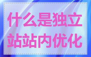 什么是独立站站内优化