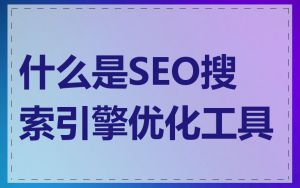 什么是SEO搜索引擎优化工具