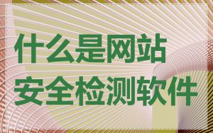 什么是网站安全检测软件