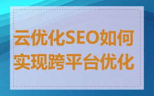 云优化SEO如何实现跨平台优化