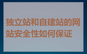 独立站和自建站的网站安全性如何保证