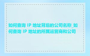 如何查询 IP 地址背后的公司名称_如何查询 IP 地址的所属运营商和公司