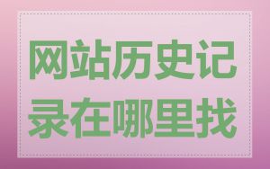 网站历史记录在哪里找