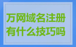 万网域名注册有什么技巧吗