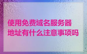 使用免费域名服务器地址有什么注意事项吗