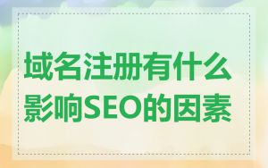 域名注册有什么影响SEO的因素
