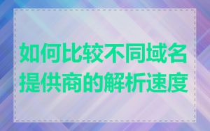 如何比较不同域名提供商的解析速度
