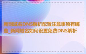 新网域名DNS解析配置注意事项有哪些_新网域名如何设置免费DNS解析
