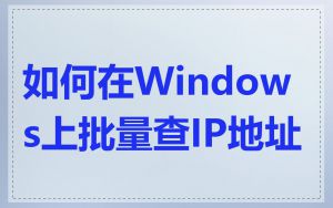 如何在Windows上批量查IP地址