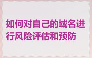如何对自己的域名进行风险评估和预防