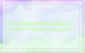 如何分析网站的关键指标和数据_网站SEO与PPC广告的结合应该注意什么