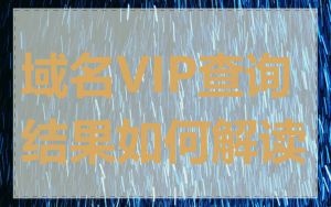 域名VIP查询结果如何解读