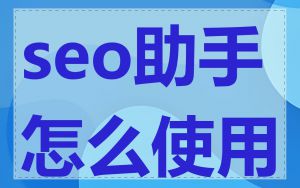 seo助手怎么使用