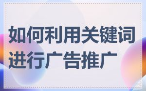 如何利用关键词进行广告推广