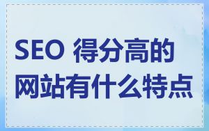 SEO 得分高的网站有什么特点