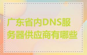 广东省内DNS服务器供应商有哪些