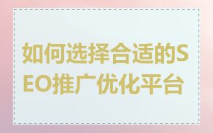 如何选择合适的SEO推广优化平台