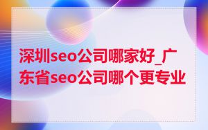 深圳seo公司哪家好_广东省seo公司哪个更专业