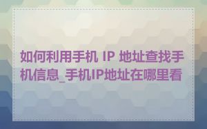 如何利用手机 IP 地址查找手机信息_手机IP地址在哪里看