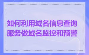 如何利用域名信息查询服务做域名监控和预警