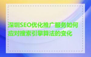 深圳SEO优化推广服务如何应对搜索引擎算法的变化