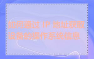 如何通过 IP 地址获取设备的操作系统信息