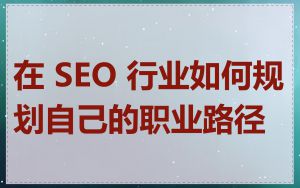 在 SEO 行业如何规划自己的职业路径