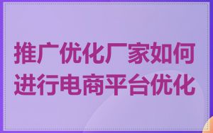 推广优化厂家如何进行电商平台优化