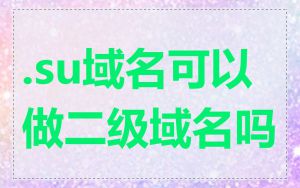 .su域名可以做二级域名吗
