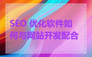 SEO 优化软件如何与网站开发配合